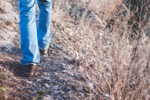 walking walking