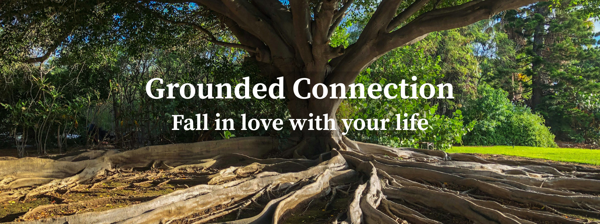 GC landing page banner